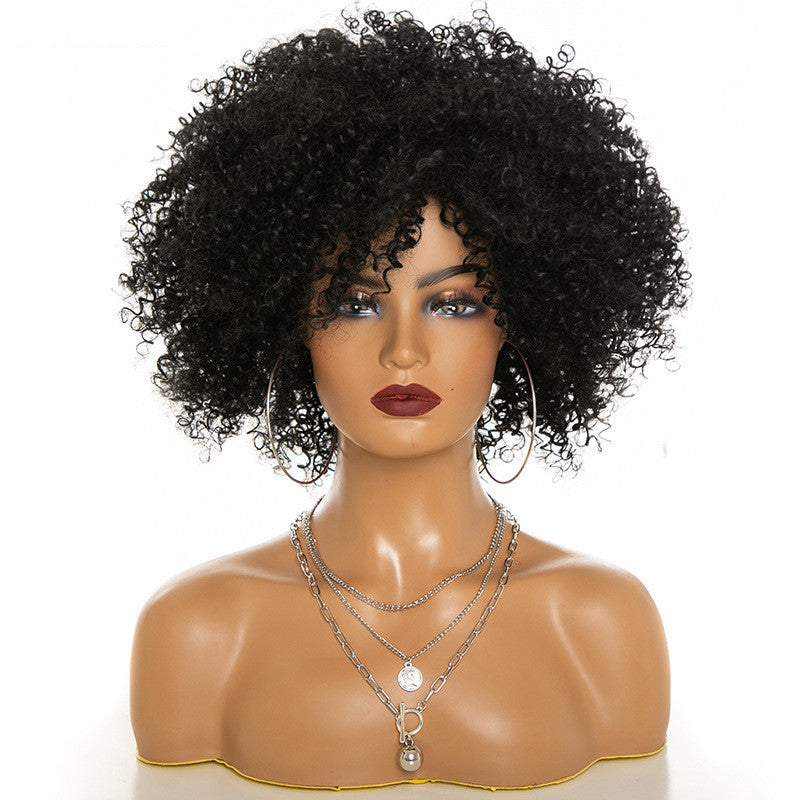 High-Temperature Afro Kinky Curly Hair Wig-1