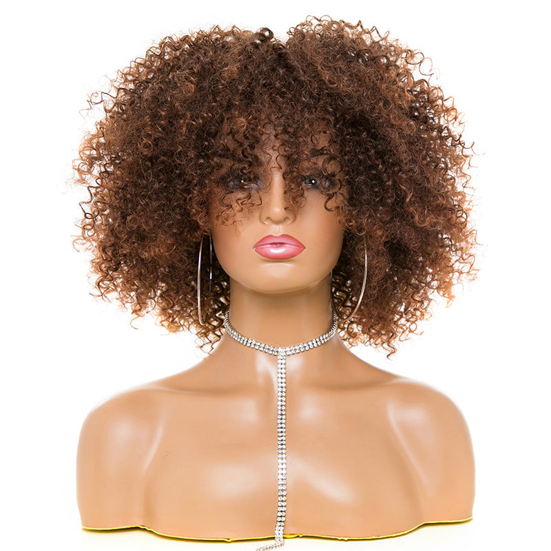 High-Temperature Afro Kinky Curly Hair Wig-2
