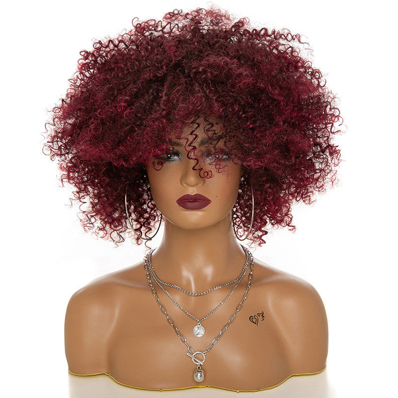 High-Temperature Afro Kinky Curly Hair Wig-4