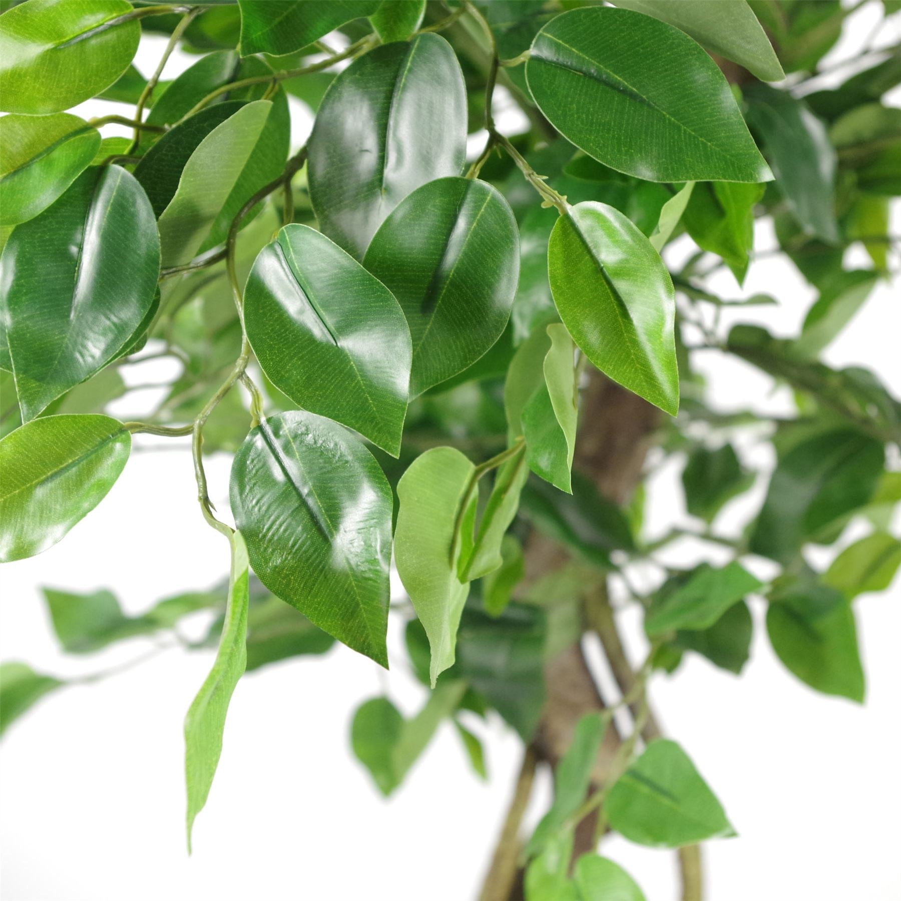 Large Artificial Japanese Fruticosa Ficus Tree Gold 120cm 4ft Realistic Botanik-1